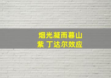 烟光凝而暮山紫 丁达尔效应